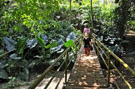 Spice Plantation Tours